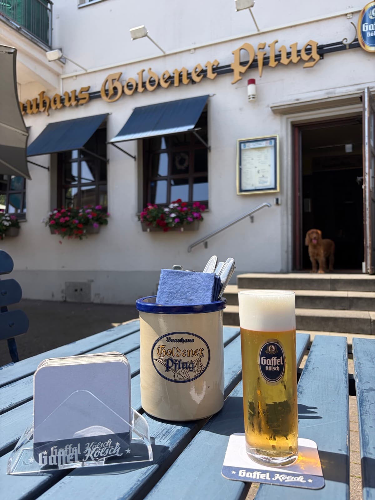 Frisch gezapftes Kölsch im Biergarten